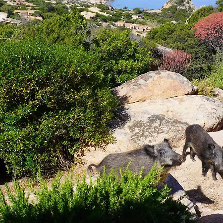 Roccette Ondaturchese, Vista Mare E Jacuzzi Privata Costa Paradiso