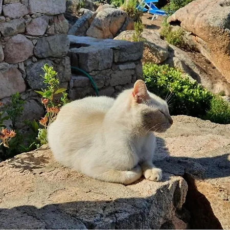 Hébergement de vacances Roccette Ondaturchese, Vista Mare E Jacuzzi Privata *