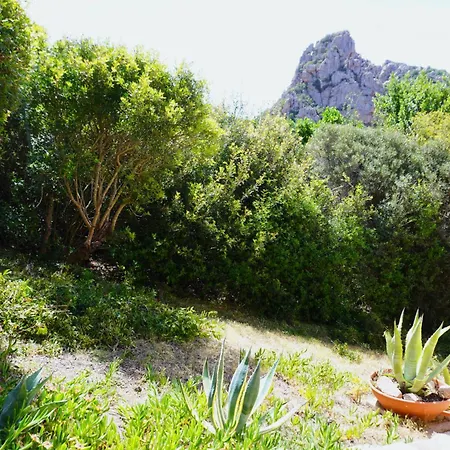 Roccette Ondaturchese, Vista Mare E Jacuzzi Privata Casa vacanze *
